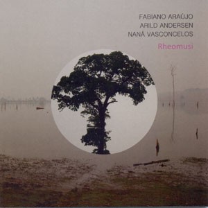 Negro do CD Rheomusi. Artista(s) Fabiano Araújo.