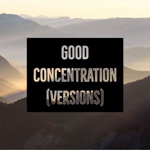 Good Concentration (vibes Version) do CD Good Concentration. Artista(s) Miguel Art.